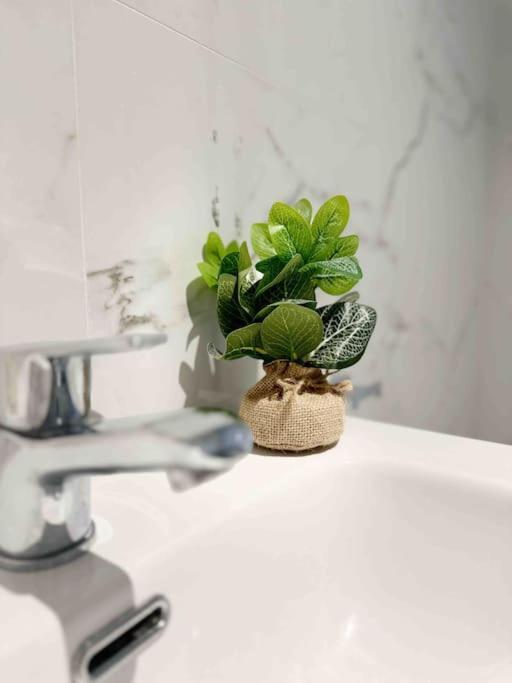 - Cabanyal Boutique Villa Valencia Eksteriør bilde