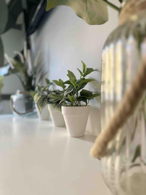 - Cabanyal Boutique Villa Valencia Eksteriør bilde